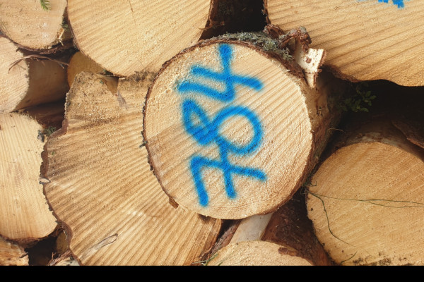 holz positionsnummer, © ZT Waldbüro, Photographer: Katharina Fleischhacker