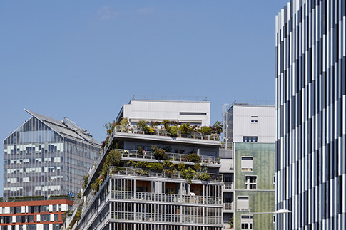 LIPSKY_F.03_PARIS_BOULOGNE__Collage roof &terrace.jpg, © ©lipsky+rollet architectes, Photographer: Paul Raftery