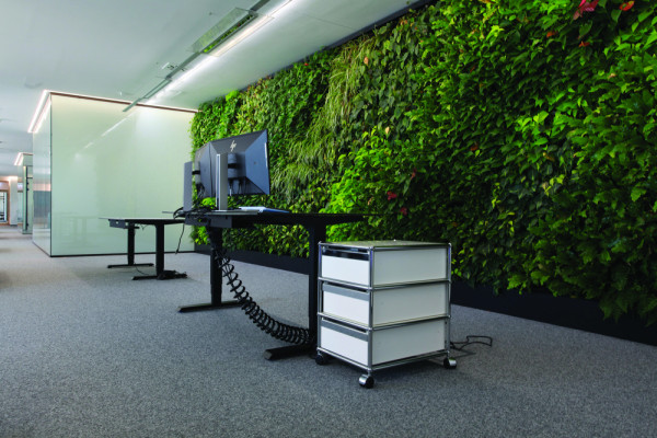 GREEN WALL, WORKING SPACE.JPG, © ISA STEIN, Photographer: ISA STEIN