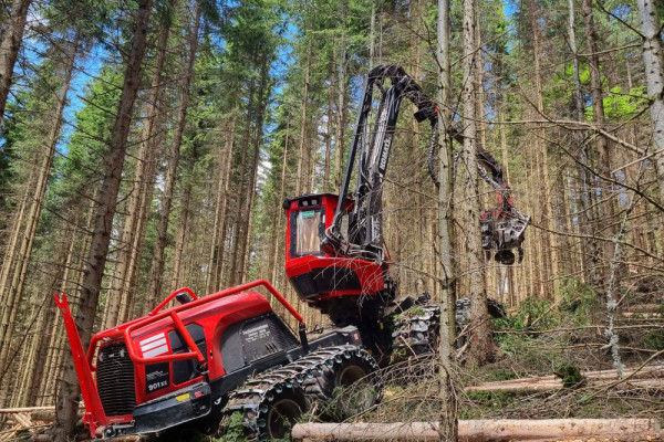 20230629_135325-min.jpg, Picturerights © Waldbüro RG ZT GmbH | Picture © Katharina Fleischhacker