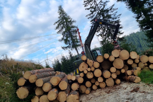 20230913_075024-min.jpg, Picturerights © Waldbüro RG ZT GmbH | Picture © Katharina Fleischhacker