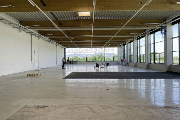 HaberkornC.jpg, Picturerights © David Schreyer