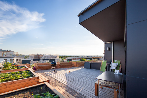 Dachterrasse für Alle, Picturerights © Markus Kaiser