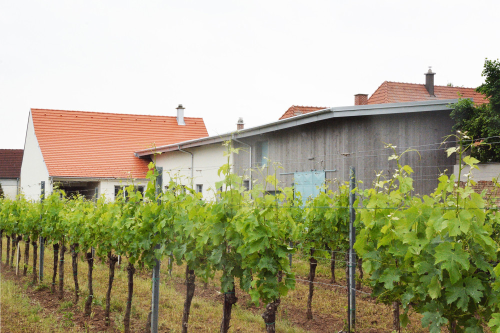 2206 15.jpg, Picturerights © mangold[architektur] | Picture © Barbara Mangold-Ziegerhofer