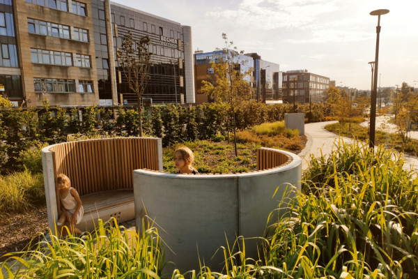 Native planting and nature-based solutions improve biodiversity and urban resilience., Picturerights © Gdak Studio | Picture © Michał Gdak Native planting and nature-based solutions improve biodiversity and urban resilience., Picturerights © Gdak Studio | Picture © Michał Gdak