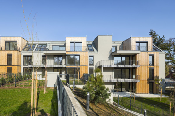 Courtyard: Topographical Adaptation and Timber Materiality, Picturerights © roh Architekten ZT GmbH | Picture © Rupert Steiner Courtyard: Topographical Adaptation and Timber Materiality, Picturerights © roh Architekten ZT GmbH | Picture © Rupert Steiner