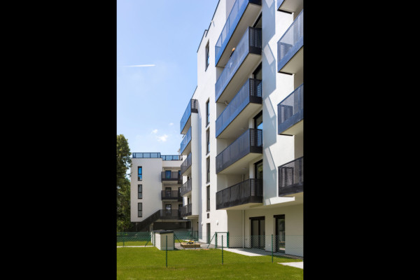 Courtyard View, Picturerights © roh Architekten ZT GmbH | Picture © Rupert Steiner Courtyard View, Picturerights © roh Architekten ZT GmbH | Picture © Rupert Steiner